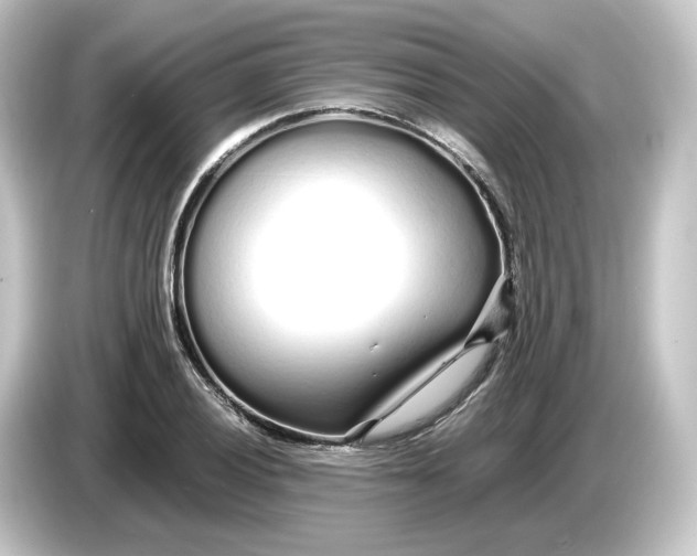 X0000084551028200703161643