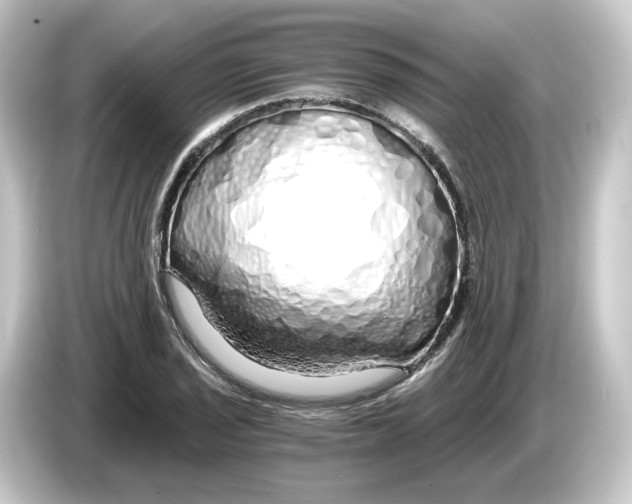 X0000084551029200703161643