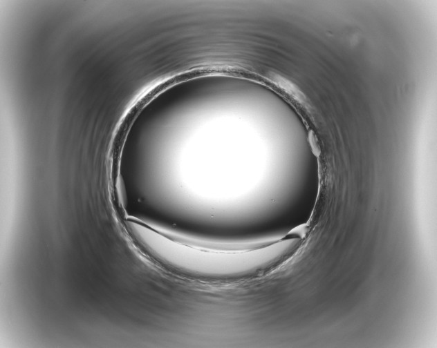 X0000084551030200703161643