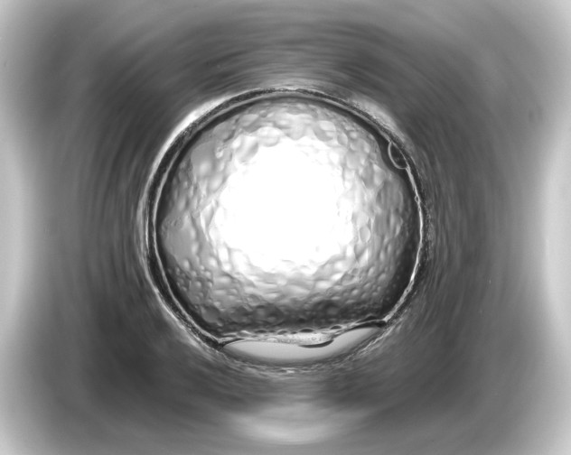 X0000084551032200703161643