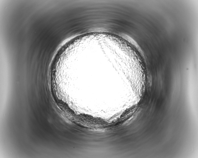 X0000084551035200703161643