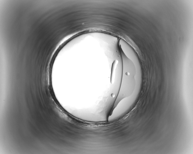 X0000084551036200703161643