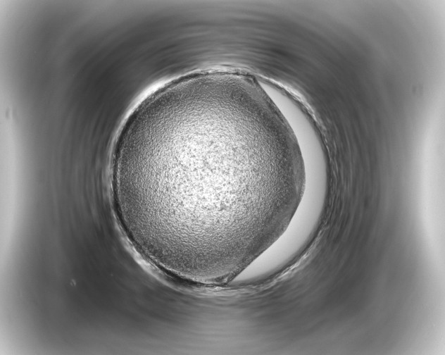 X0000084551038200703161643