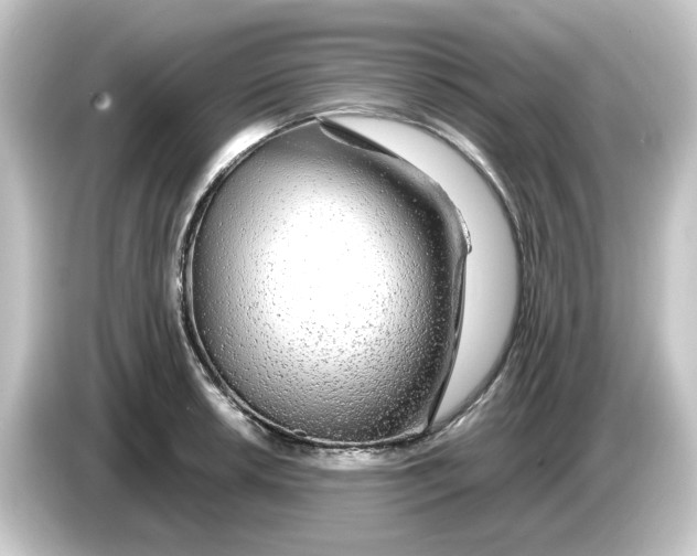 X0000084551042200703161643