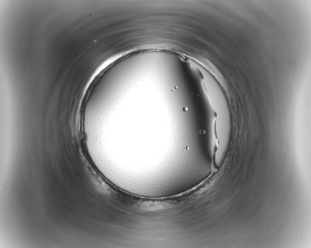 X0000084551044200703161643