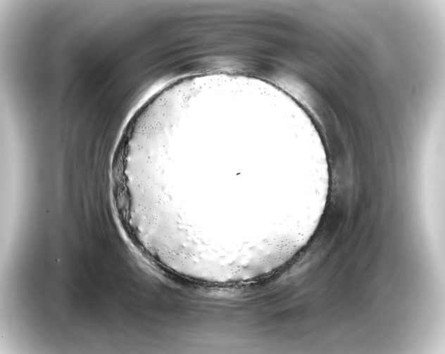 X0000084551047200703161643