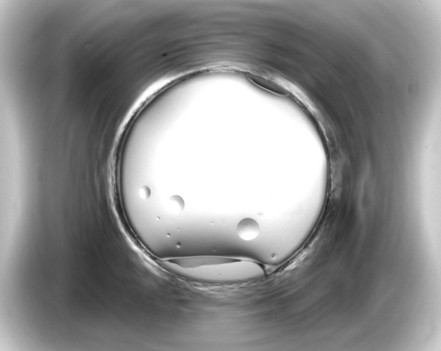 X0000084551048200703161643