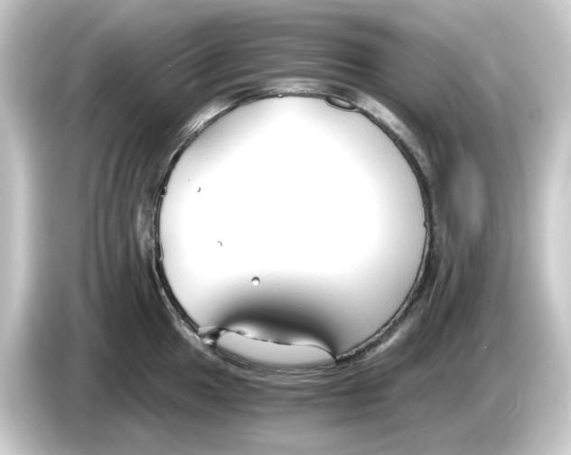 X0000084551049200703161643