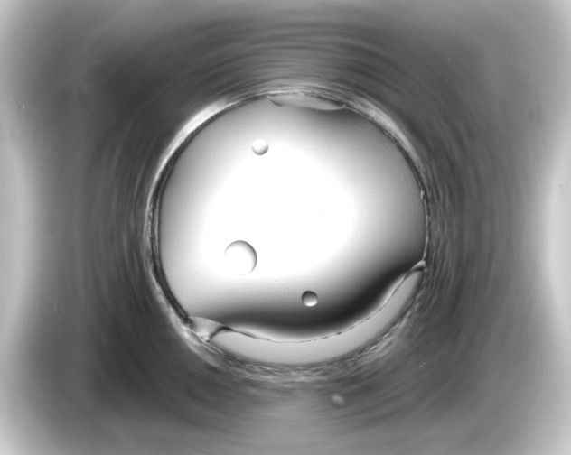 X0000084551050200703161643