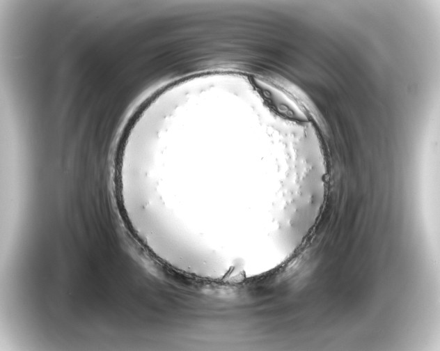 X0000084551051200703161643