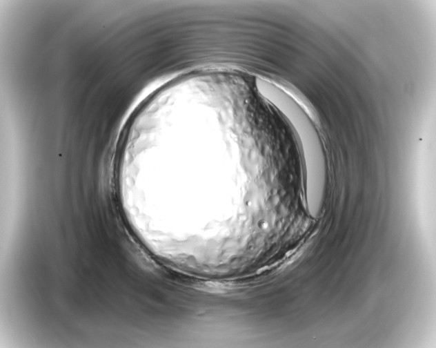 X0000084551052200703161643