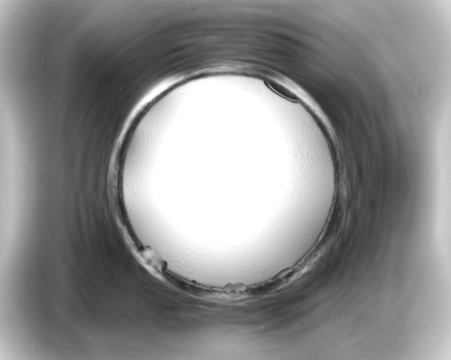 X0000084551053200703161643