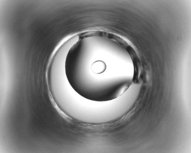 X0000084551054200703161643