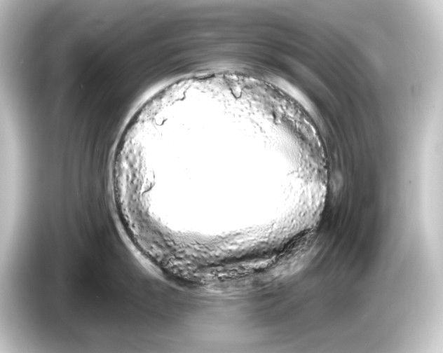 X0000084551055200703161643