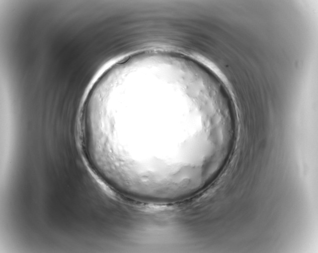 X0000084551056200703161643