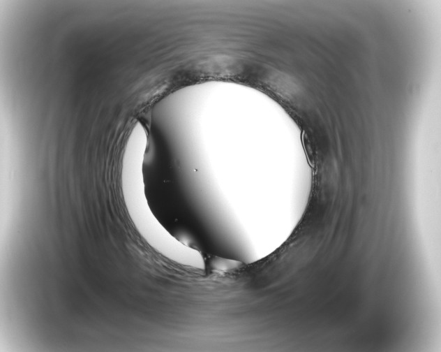 X0000084551058200703161642