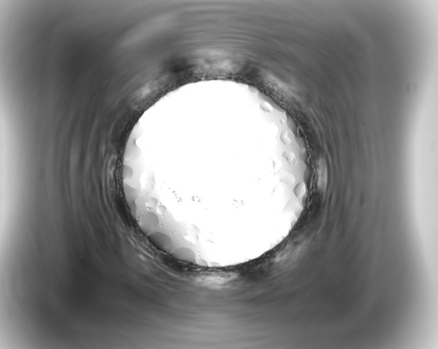 X0000084551059200703161642