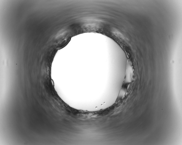 X0000084551061200703161642