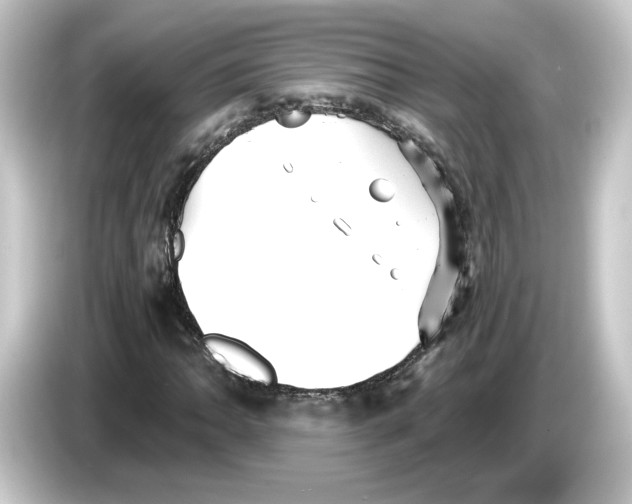 X0000084551062200703161642