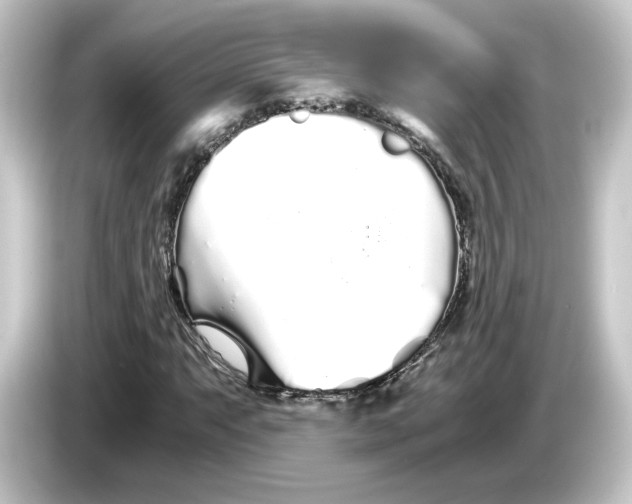 X0000084551063200703161642