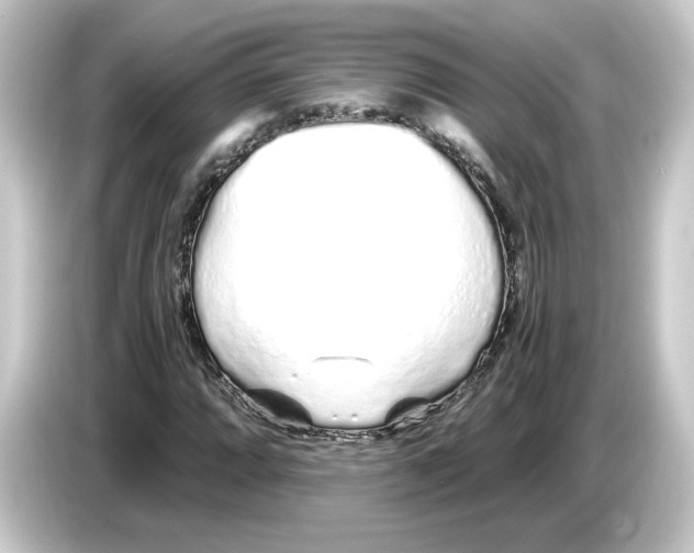 X0000084551064200703161642