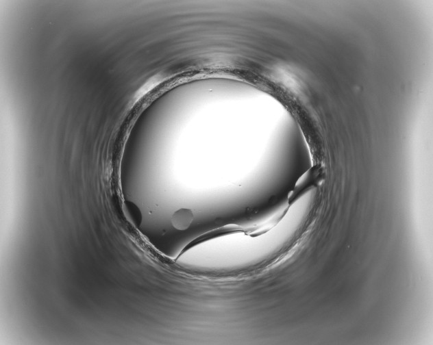 X0000084551065200703161642