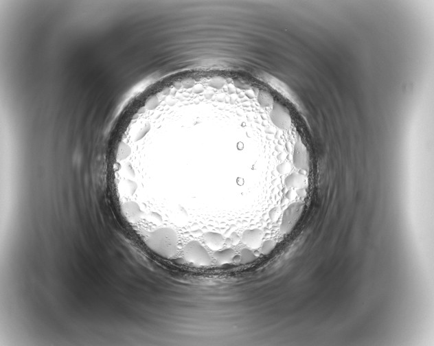 X0000084551067200703161642