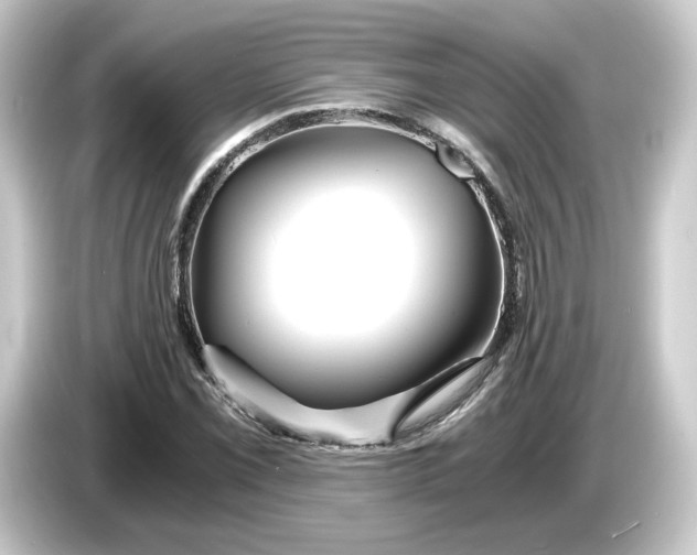 X0000084551069200703161642