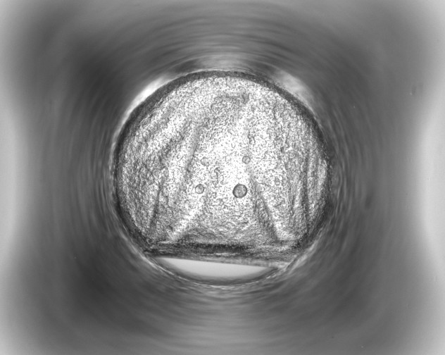 X0000084551071200703161642