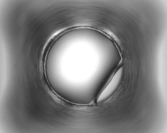 X0000084551072200703161642