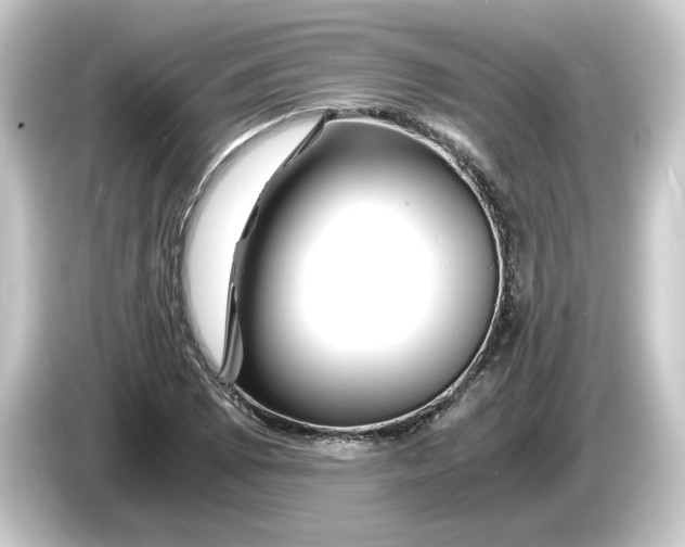 X0000084551073200703161642