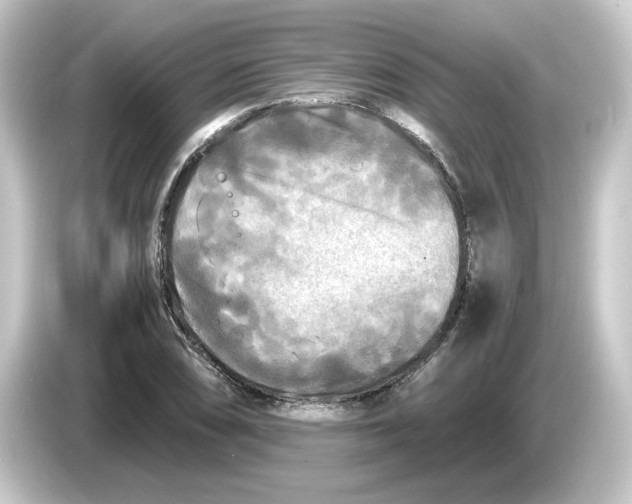 X0000084551074200703161642