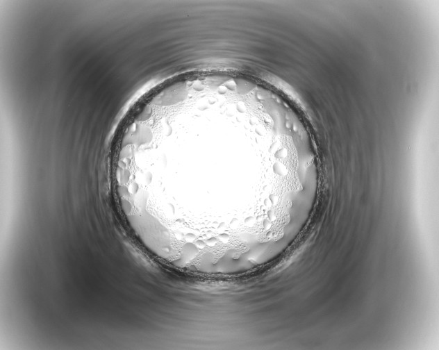 X0000084551075200703161642