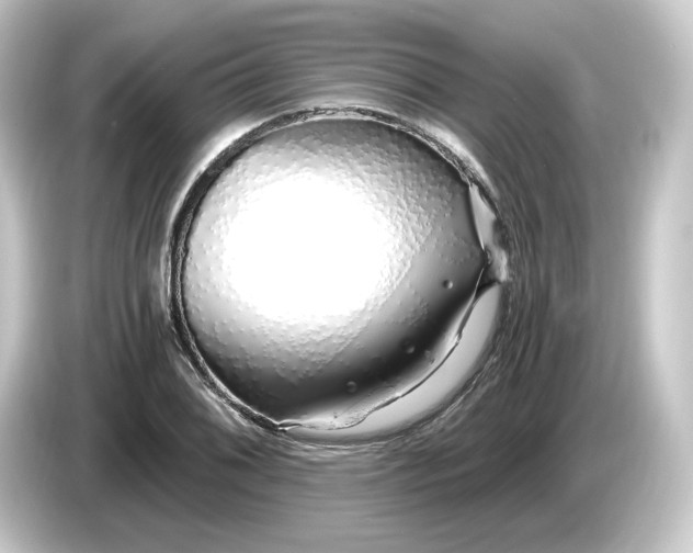 X0000084551076200703161642