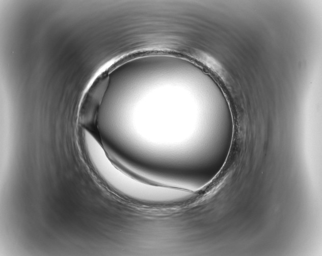 X0000084551077200703161642