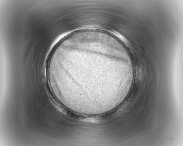 X0000084551078200703161642