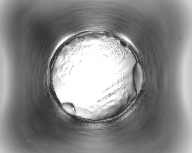 X0000084551079200703161642