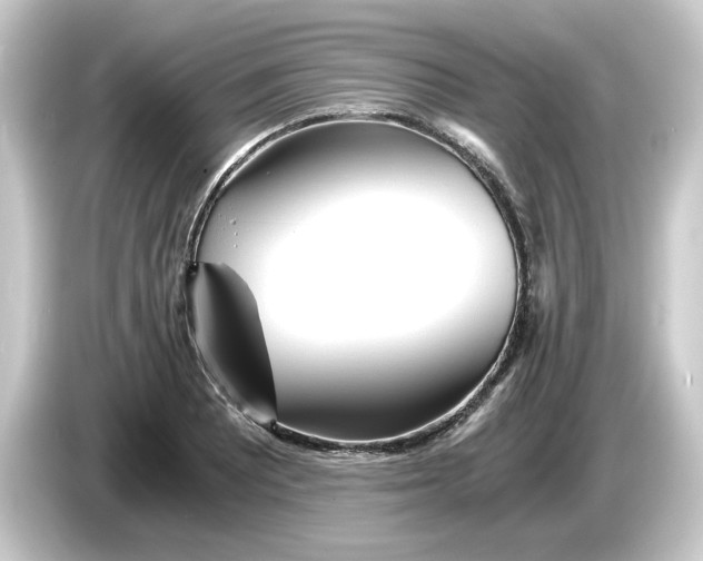 X0000084551081200703161642