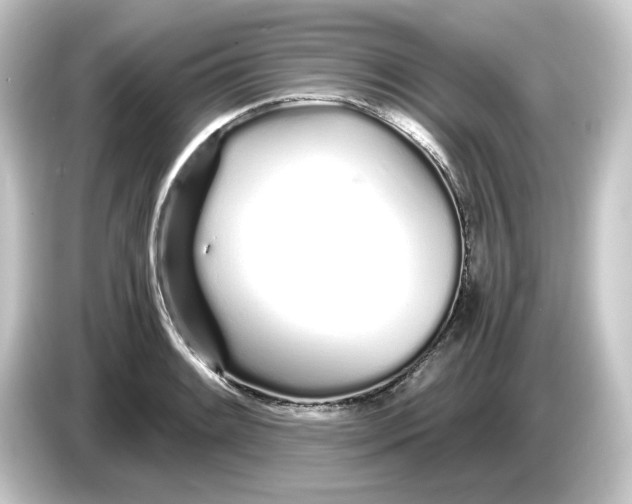 X0000084551084200703161642