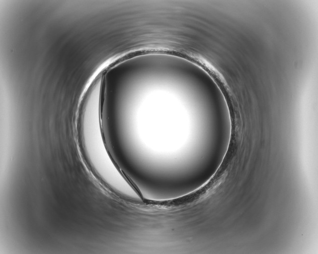 X0000084551085200703161642