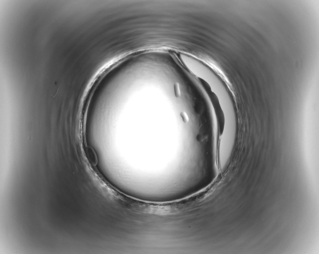 X0000084551088200703161642