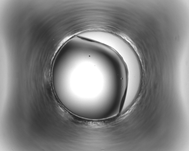 X0000084551089200703161642