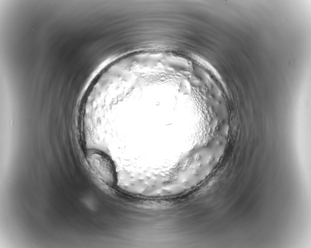 X0000084551091200703161642