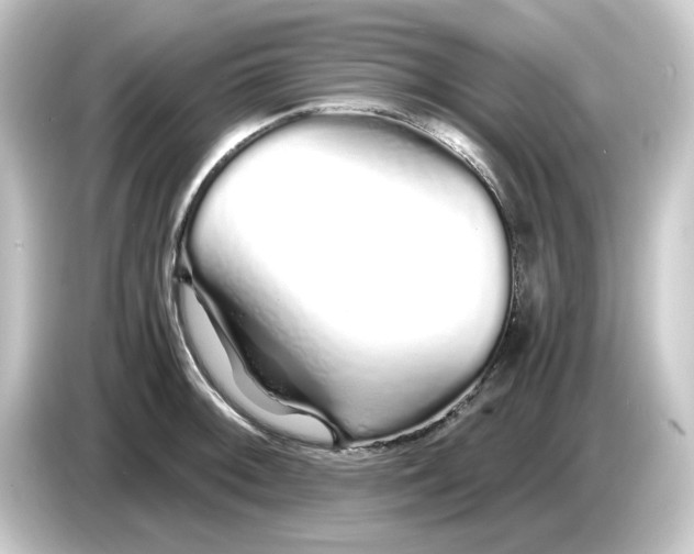 X0000084551092200703161642