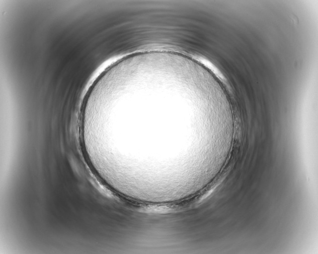 X0000084551094200703161642