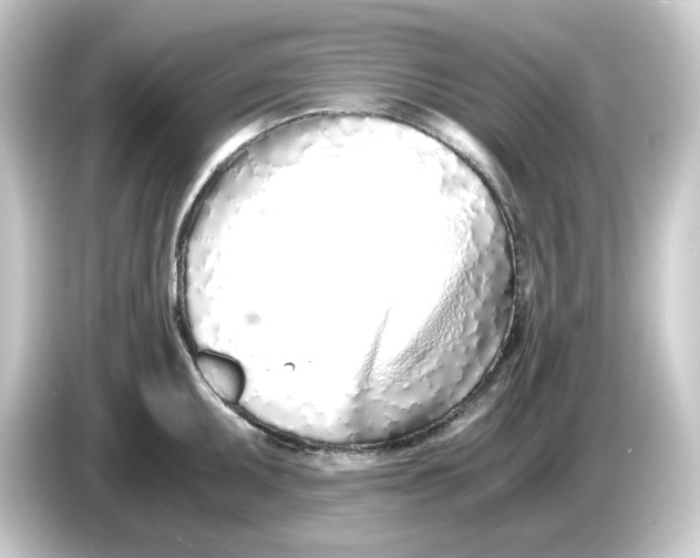 X0000084551095200703161642