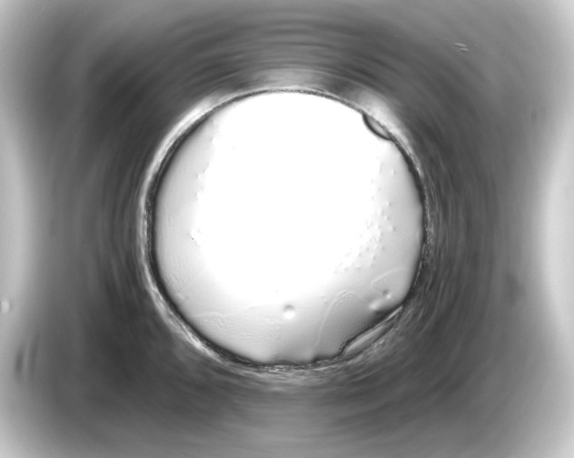 X0000084551096200703161642