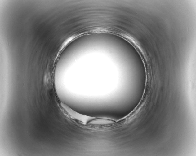 X0000084551097200703161642