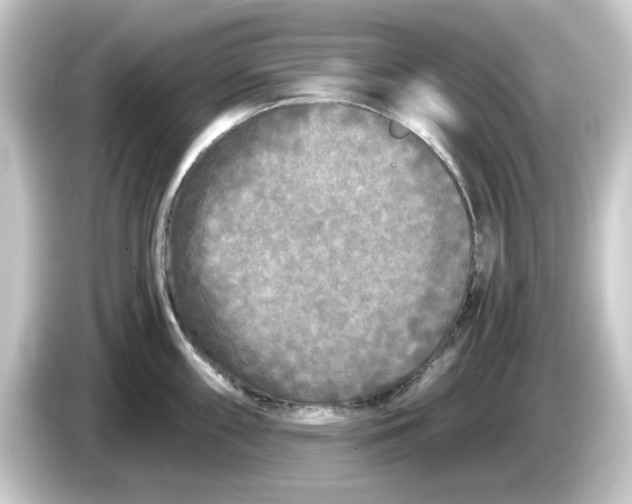 X0000084551098200703161642