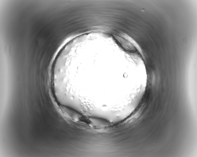 X0000084551099200703161642